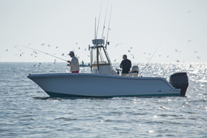 Recreational Marine
